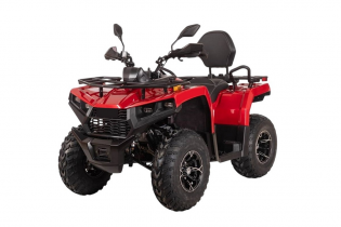 Электроквадроцикл Bizon YK250EL LUX