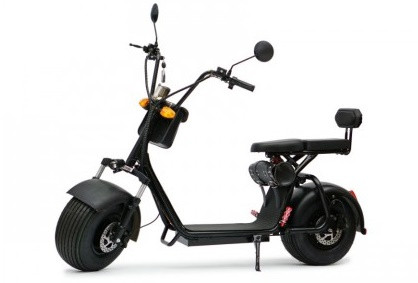 Электроскутер Citycoco Double Seat 1000W/20Ah