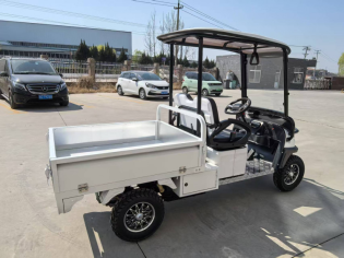 Гольфкар GreenCamel Сонора A2C New (2+Cargo 2500W 130/90-10' литые) пониженная