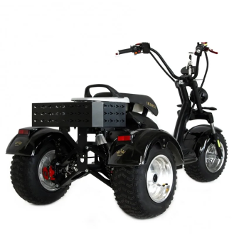 Трехколесный электроскутер Ikingi M6 Pro Trike черный